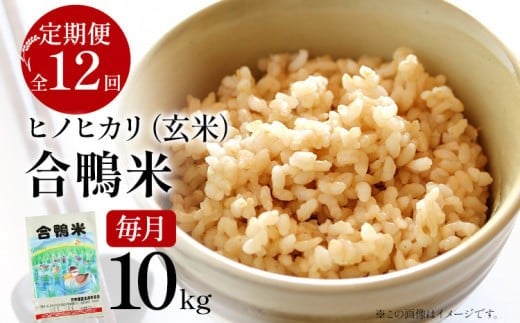 令和7年産 新米予約 合鴨米「ヒノヒカリ」(玄米・10kg)定期便12回コース 数量限定 ※令和7年10月スタートの定期便 BI07福岡県大木町300000米・パン白米