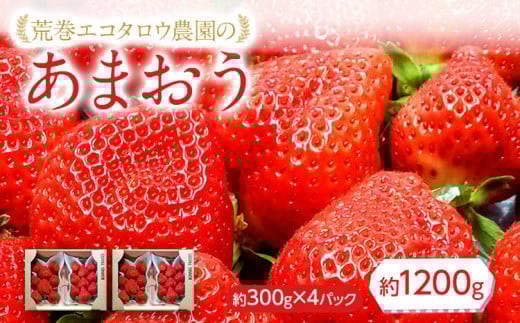 荒巻エコタロウ農園のあまおう約300g×4パック(約1200g)【2026年2月下旬以降順次出荷予定】BJ04福岡県大木町11000果物・フルーツ