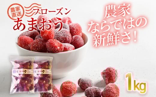 t[Y܂1kg(500g×2)@BD10ؒ9000ʕEt[c