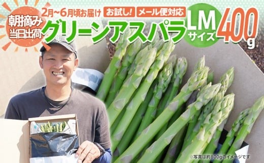数量限定 先行予約 LMサイズ 400g お試しサイズ 朝採り 朝採れ 直送 グリーンアスパラガス アスパラ【2月〜6月お届け】 BT12福岡県大木町3000野菜・きのこその他 野菜
