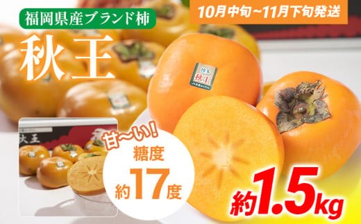 Ԍ Yuh`uHv 1.5kg(4-6) ԗi 񂹃O  O JL  ʕ t[c 썑t[c CO011ؒ16000ʕEt[c̑ ʕEt