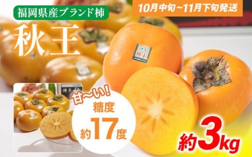 期間限定 福岡県産ブランド柿「秋王」  約3kg(8-12玉)返礼品 お取り寄せグルメ お取り寄せ グルメ かき カキ 果物 フルーツ 南国フルーツ CO012福岡県大木町30000果物・フルーツその他 果物・