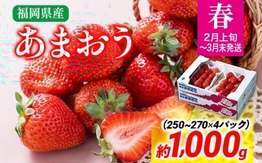 ytz܂ 1000g   ʕ ①  C`S kCEE͔zs ؒY 썑t[c CO003ؒ12000ʕEt[c