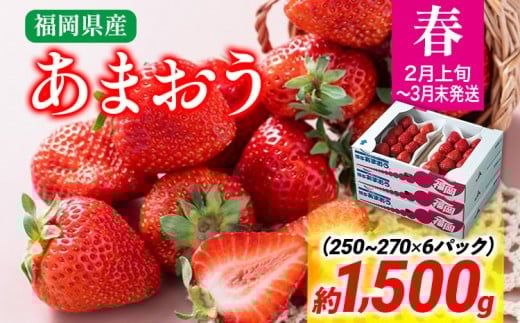 ytz܂ 1500g   ʕ ①  C`S kCEE͔zs ؒY 썑t[c CO004ؒ16000ʕEt[c