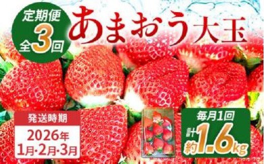 【3回定期便】 期間限定 いちご あまおう 苺 イチゴ 1.6kg あまおう(大玉)、2パック×3回(1月、2月、3月)定期便 【2026年1月〜3月中に順次発送】 ※北海道・沖縄・離島は配送不可 大木町産