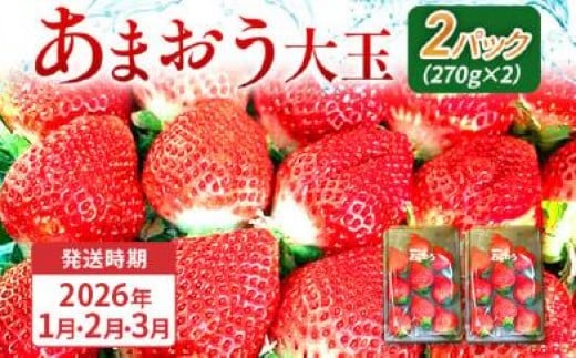 期間限定 いちご あまおう 苺 イチゴ 540g あまおう(大玉)、2パック(270g/パック)【2026年1月〜3月順次発送】 フルーツ 果物 くだもの 大玉 ※北海道・沖縄・離島は配送不可 大木町産 おお