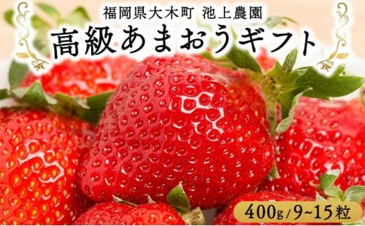 高級あまおうギフト (9〜15粒) 400g BD015福岡県大木町20000果物・フルーツいちご