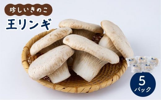 珍しいきのこ 王リンギ5パック  AT18福岡県大木町5000野菜・きのこきのこ