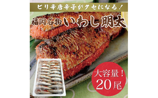 sh 킵20 hqqgp [a9402] Ѓ} zsFyԗizYc ӂ邳Ɣ[ŕYc19000ECYqȆ