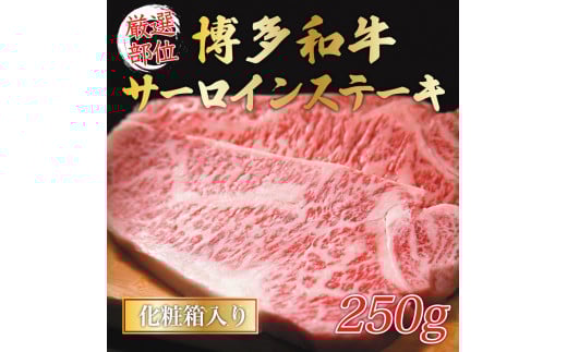 aT[CXe[L 250g(250g×1) [a9431] Meat Plus zsFyԗizYc ӂ邳Ɣ[ŕYc14000