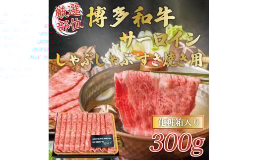 yIʁzaT[CԂԂĂp 300g [a9440] Meat Plus zsFyԗizYc ӂ邳Ɣ[ŕYc14000