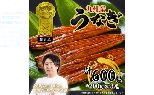 yӂ邳Ɣ[Łz܂NbNI Ȃ Y 3 (600g) BY Ă V Ă [a1000] ăMtg  yԗiz Yc ӂ邳Ɣ[ŕYc18000ECYȂ