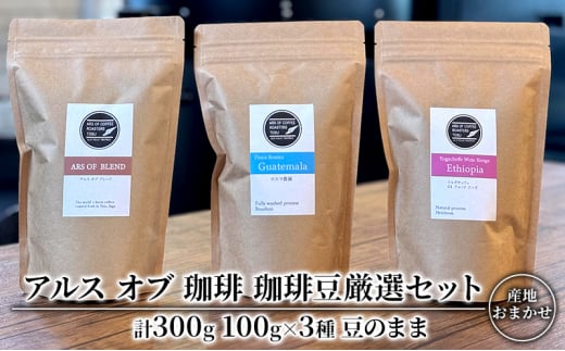 珈琲豆 厳選 セット 100g×3種 豆のまま コーヒー 珈琲佐賀県鳥栖市14000お茶・飲料コーヒー・紅茶