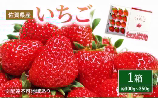 いちご 1箱 (約300g〜350g) 佐賀県産 イチゴ 苺 果物 フルーツ デザート ※配送不可:北海道佐賀県鳥栖市16000果物・フルーツいちご