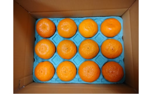 [5353-0600]݂ ÊCiȂ݁j݂ 2.5kg k ʕ t[c fU[g zs:ꌧs19500ʕEt[c݂Ek