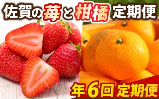 定期便 6回 佐賀の苺と柑橘定期便 いちご 柑橘 年6回 ※配送不可:北海道、沖縄県、離島佐賀県鳥栖市120000果物・フルーツいちご