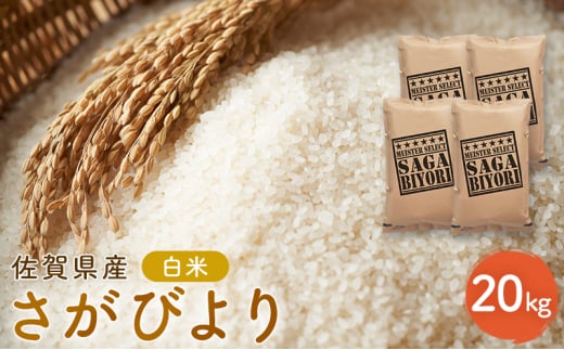 V s\ т ꌧY  20kg (5kg×4) ܂ă}CX^[I  zsFꌧs83000āEp
