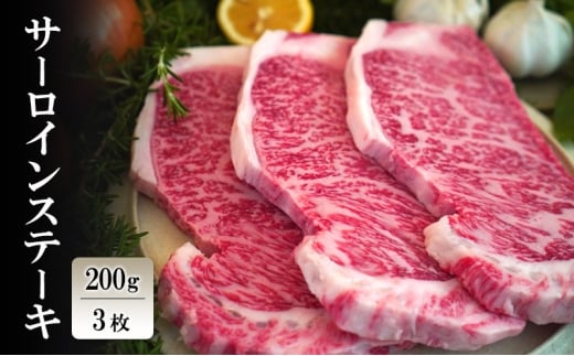 ꋍ T[C Xe[L 200g×3 zsFkCAAꌧs26000