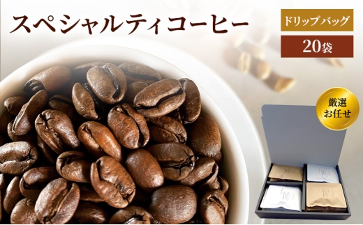  Nh[蓤X XyVeBR[q[ hbvobO I C 20P(10×e2pbN)  Zbgꌧs24000ER[q[Eg