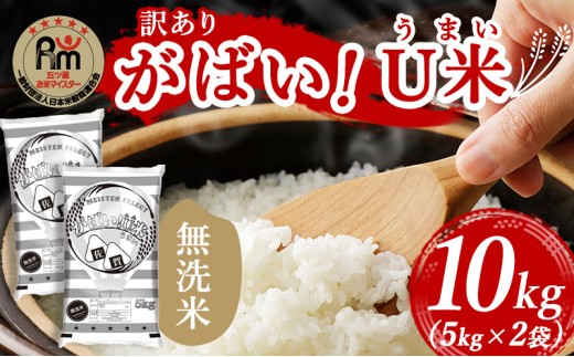 󂠂  sӂ邳Ɣ[Ō ߘa7NY@΂U(܂) yāz 10kg(5kg×2) ܂ă}CX^[I (puh) ƒp  zsFꌧs23000