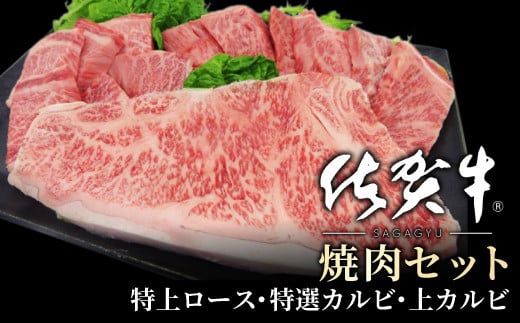 nXI ꋍ 3̏ēZbg 500g ^ӂ邳Ɣ[   ɂ Mtg  ē Ă ^ Y Ԑg  o[xL[ꌧ咬28000