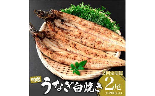 2 ȂĂ v800g (200g×2×2) ^ Ȃ V EiM  Ă yp N̓ I   Y ӂ邳 V Vd ȏd Ȃ Mtg 蕨  ꌧꌧ