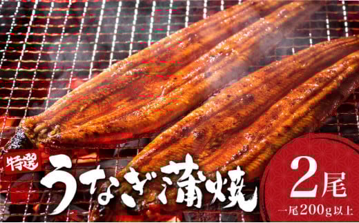 うなぎ蒲焼き 400g (200g×2尾) / 国産 蒲焼き 長焼き ウナギ 鰻 蒲焼 冷凍 贈答 うなぎ佐賀県大町町19000魚介・海産物うなぎ