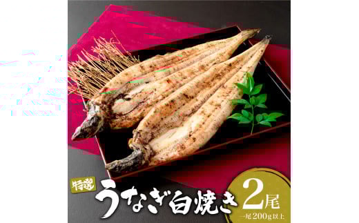 ȂĂ 400g (200g×2) ^Ȃ V EiM  Ă yp N̓ I   Y ӂ邳 V Vd ȏd Ȃ Mtg 蕨  ꌧ ꌧ咬19000ECY