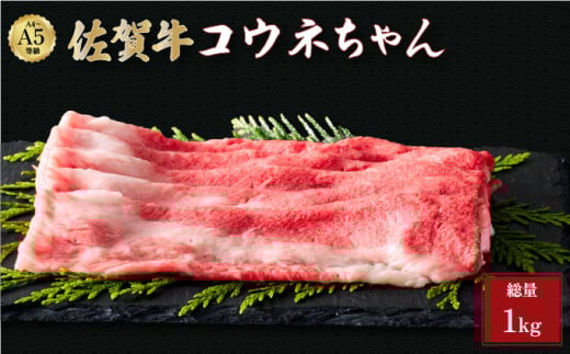 ꋍREl 1kg (500g×2) | o ꋍ ~ Y јa ē ؂ Mtg 蕨  Ε v[g p Iꌧ咬24000
