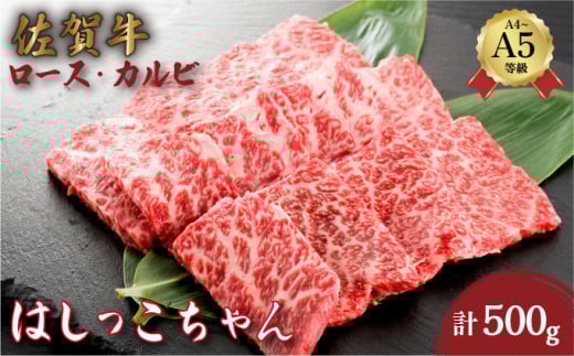 ꋍ͂ 500g ([XEJr) |  [X Jr ꌧ јa Y ~ ē r[t Mtg 蕨 v[g p  I  Ε 咬ꌧ咬13000