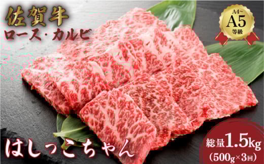 <定期便3回>佐賀牛はしっこちゃん(ロース・カルビ) 計1.5kg (500g×3回) | 佐賀牛 肉 牛肉 黒毛和牛 国産 バーベキュー 焼肉 赤身 佐賀 佐賀県 国産牛 佐賀県産 ギフト 贈答佐賀県大町町40000肉