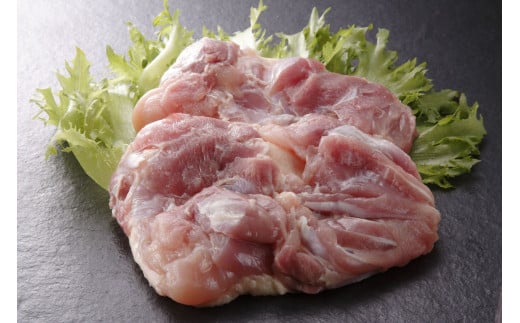 ݂{ 700g×2 ^   { Ƃ { Ƃɂ    Ⓚ  `L ӂ邳Ɣ[  uh ꌧ Y n g Mtg 蕨 ꌧ咬13000{