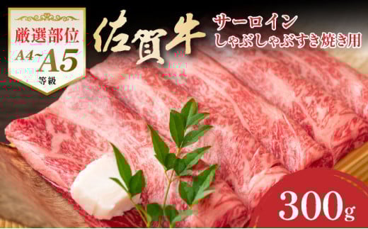IyIʁzyA4`A5zꋍT[CԂԂĂp@300ꌧ咬10000