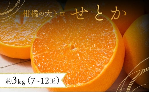 【先行予約】みかんの「大トロ」佐賀産かんきつ・せとか 約3kg(7-12玉) / ふるさと納税 佐賀 フルーツ 濃厚 甘い 酸味 大町 贈答 ギフト 贈り物佐賀県大町町22000果物・フルーツみかん・柑橘類
