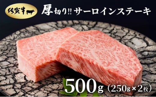 ؂?ꋍT[CXe[L500g(250g×2)ꌧ咬28000