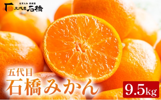 五代目みかん9.5kg/ふるさと納税 佐賀 みかん オレンジ フルーツ濃厚 甘い 酸味 大町 贈答 ギフト 贈り物 42ik-002佐賀県大町町17000果物・フルーツみかん・柑橘類