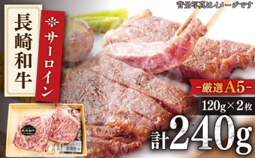 yōA5݂̂Iz a T[C Xe[L 240gi120g×2jŷz [QAA004] / 茧 X茧X19000