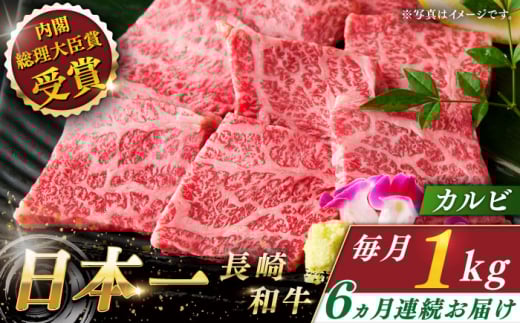 yS6ցza Jr v6.0kg i1.0kg/jyȂC_Ƌgz [QAK028]  Jr Ă 355~ 355000~ / 茧 X茧X355000