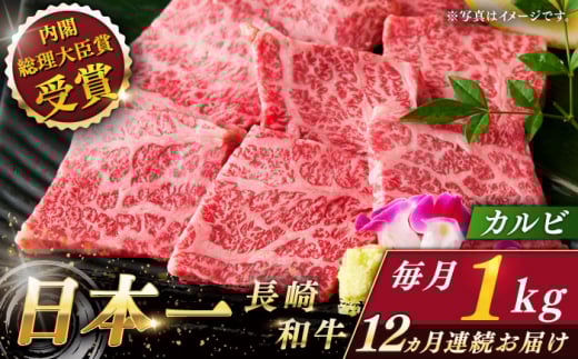 yS12ցza Jr v12.0kg i1.0kg/jyȂC_Ƌgz [QAK040]  Jr Ă 71~ 710000~ / 茧 X茧X710000