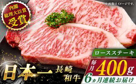 yS6ցza [XXe[L v2.4kg i400/jyȂC_Ƌgz [QAK027]  [X Ă ~ 178~ 178000~ / 茧 X茧X178000