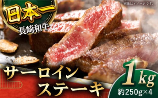 yɌIza T[C Xe[L v1kg i250g×4jyz [QBD012] a Y ē Xe[L T[C [낢  lC  LO    / 茧 X