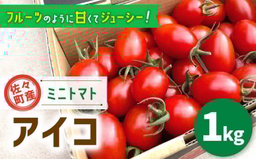 ys\zyÂăW[V[z~jg}g ACR 1.0kgyC&T farmz [QBG001] g}g Ƃ܂ g}g t[cg}g  lC  Mtg v[g / 茧 X茧X8000؁E