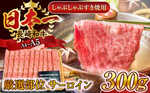 yIʁzyA4`A5zaT[CԂԂĂp@300gy MEAT PLUSz [QBS016]  ؂藎Ƃ Ԃ Ă a / 茧 X茧X10000