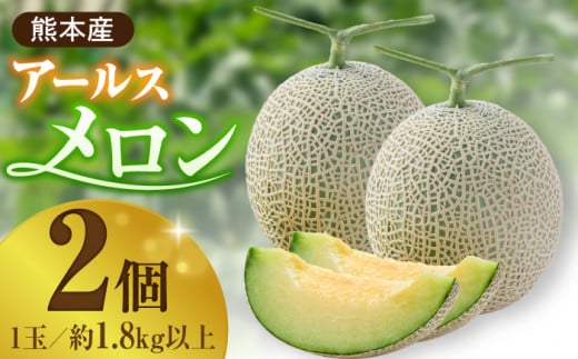 ys\zN NX}X Zbgy Oct@[z [ZCM004]  Mtg { fU[g 񂹌F{Rs15000ʕEt[cEXCJ