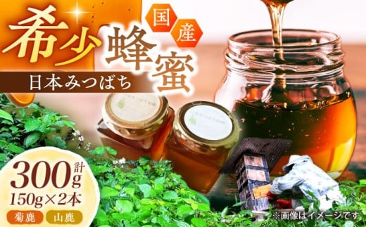 {݂΂eER v2{Zbg yR[͂z [ZBM005] I ݂͂ n`~c F{ Yi 퉷 ۑ ~ hАH HF{Rs15000ZbgE؁EHHiWE͂