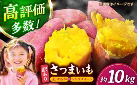 󂠂 ܂ g͂邩 or VNXC[g  10kg Tc}C Z Ö F{ Yi n A 킯 y z[ZCN001]F{Rs14000؁ÊႪEC