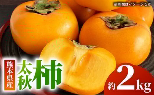 H ` 2kgy܂ӂz [ZBG015]F{Rs13000ʕEt[c̑ ʕEt[c