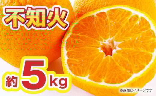 ys\zsm 5kgy܂ӂzk ʕ F{  [ZBG010]F{Rs12000ʕEt[c݂Ek