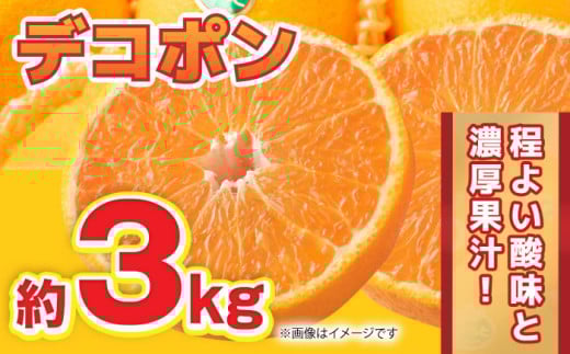 ys\zfR| 3kg 6ʁ`12ʁy܂ӂz [ZBG009]F{Rs18000ʕEt[c݂Ek