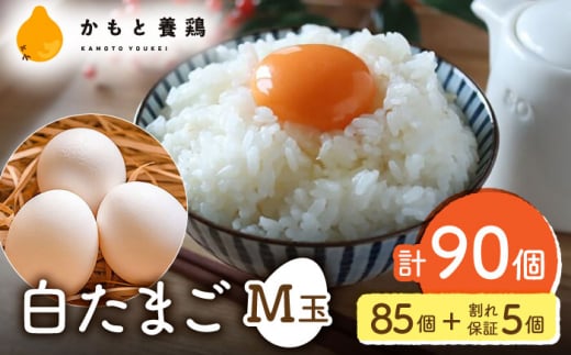  ܂ M 90i85{5ۏ؁jy_g@l {{{gz [ZCA001]  ܂ ^}S ʎq F{ Rs { Ic  ܂Ă َqF{Rs12000E